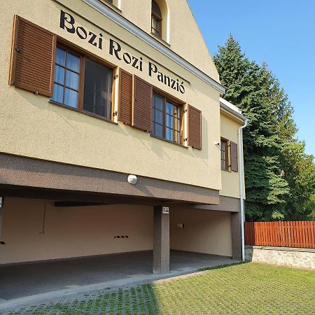 Bozi Rozi Panzio Hotel Fertőboz Exterior foto