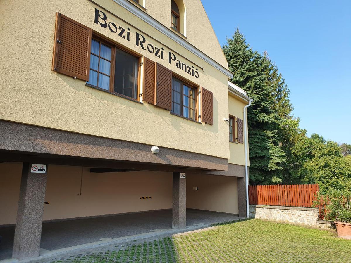 Bozi Rozi Panzio Hotel Fertőboz Exterior foto