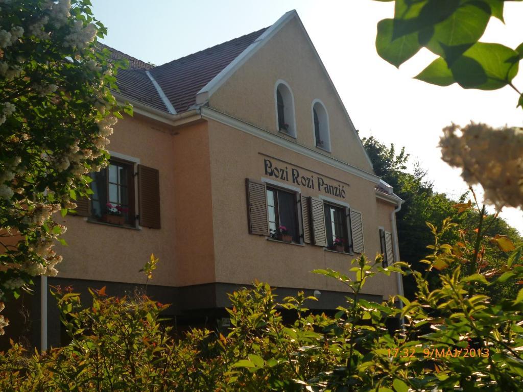Bozi Rozi Panzio Hotel Fertőboz Exterior foto